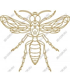  Sophisticated bee