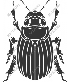  Beetle Clipart