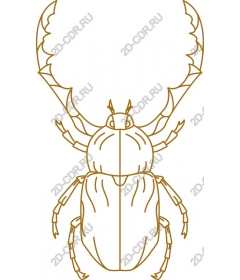  Contour Golden beetle