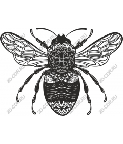  Sophisticated bee