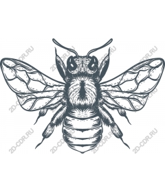 Vector clipart