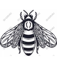  Sophisticated bee