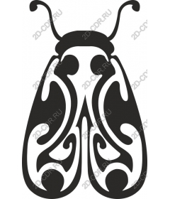 Intricate butterfly