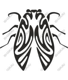  Stylized Cicada
