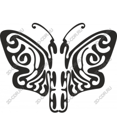 Intricate butterfly