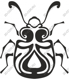  Decorated beetle