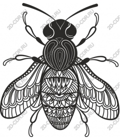  Sophisticated bee