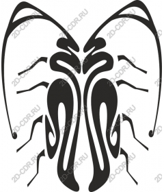 Abstract Butterfly