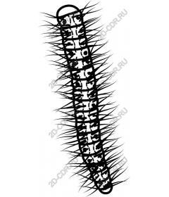 Caterpillar - Detailed and