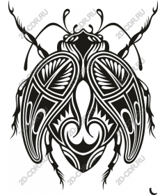 Intricate Beetle