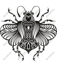  Decorated beetle