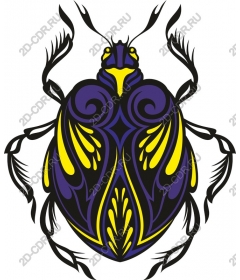  Bright beetle