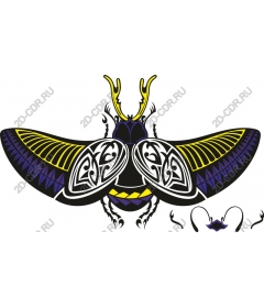  Bright decorative beetle