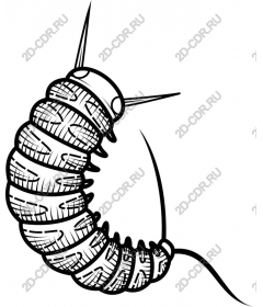  Caterpillar