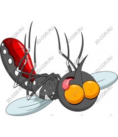  Bizarre cartoon fly
