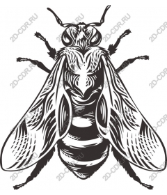  Bee