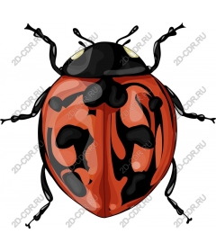 Ladybug