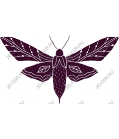  Stylized moth