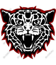 Head of a ferocious leopard