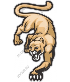  Fierce Panther