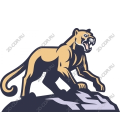 Majestic Puma