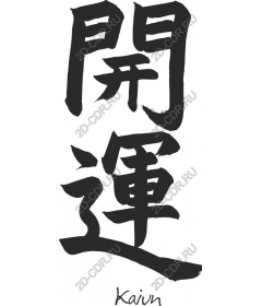  Good Luck Kanji