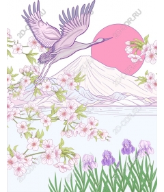  Calm cranes and cherry blossoms