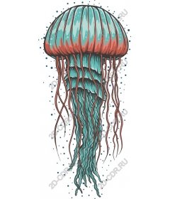  Bright jellyfish