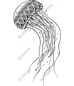  Замысловатая медуза