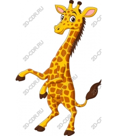 Playful giraffe