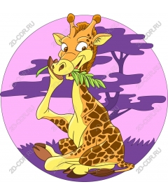 Funny giraffe