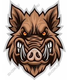  Ferocious boar's head
