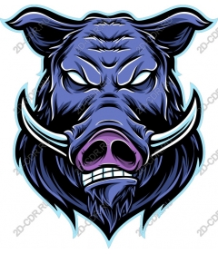  Ferocious wild boar