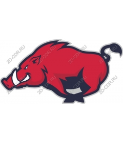  Fierce Red Boar