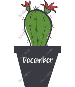 December cactus