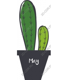  Cactus Duo - May