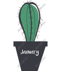  Cactus January