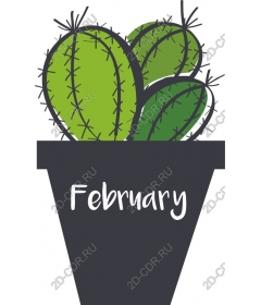  Cactus in a pot - February