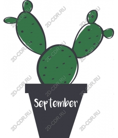  September cactus