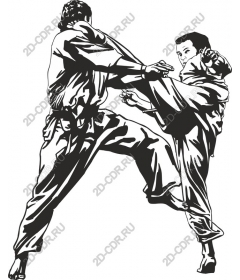 Dynamic martial arts