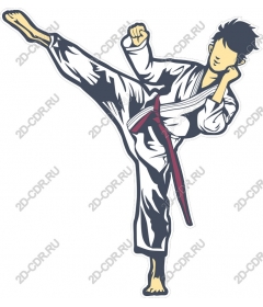 Dynamic kick in karate