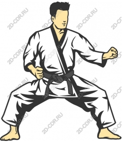 Dynamic karate practitioners