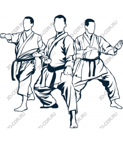 Dynamic poses karate