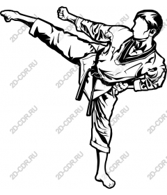 Dynamic kicking martial arts style