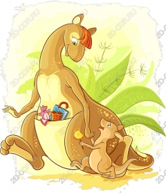 Playful Kangaroo and Joey