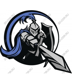  Knight in armor