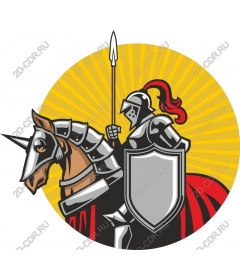  Knight in shining armor