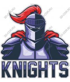 The valor of a knight