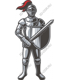  Knight in shining armor
