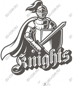 Knight
